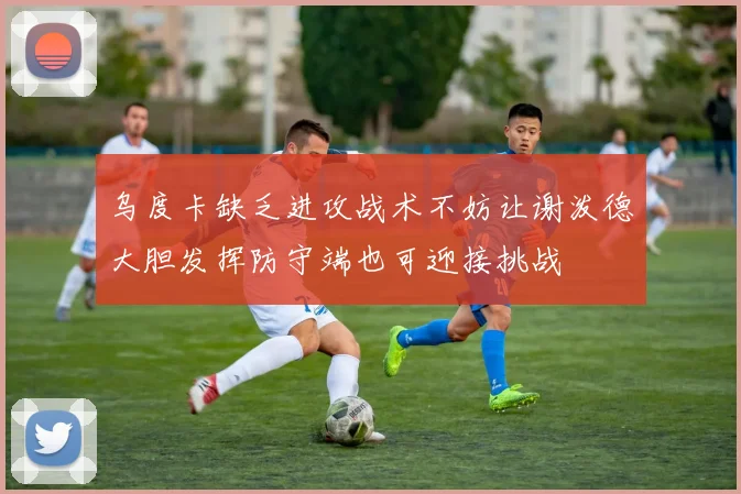 乌度卡缺乏进攻战术不妨让谢泼德大胆发挥防守端也可迎接挑战
